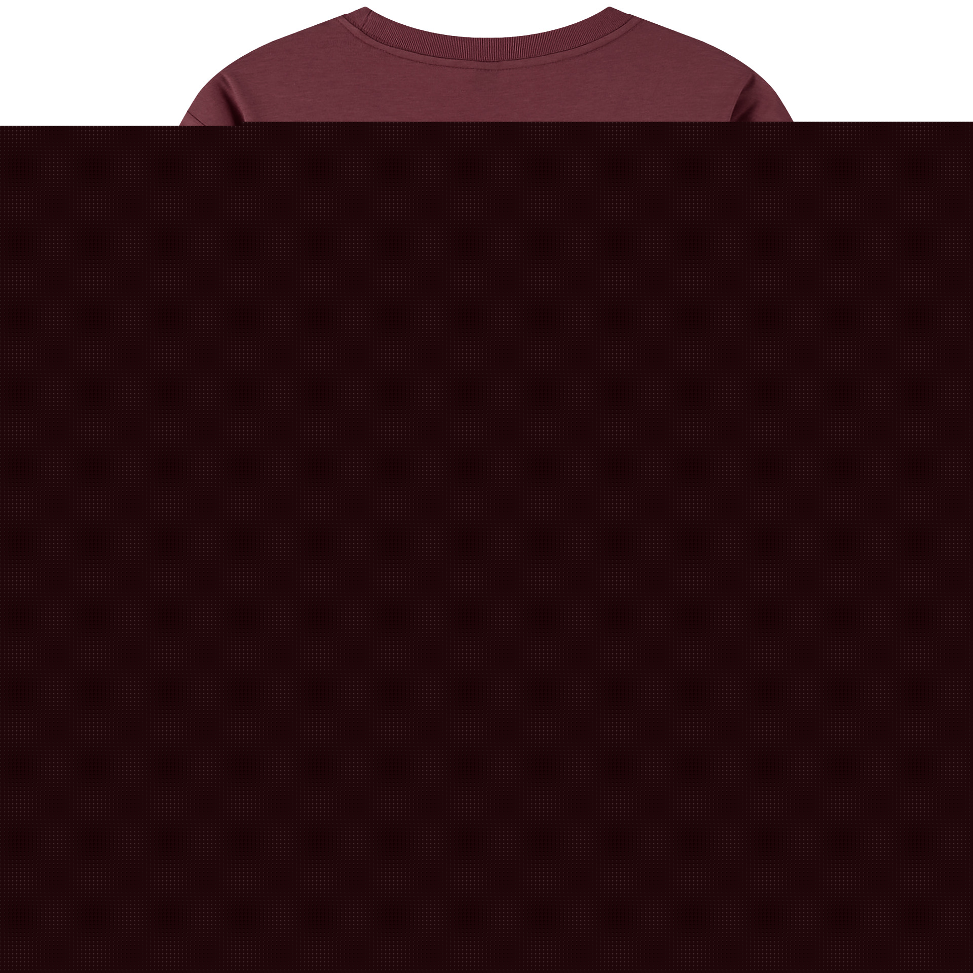 （画像用）  綿100％半袖Tシャツ（背面プリント）